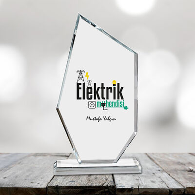 Elektrik Mühendislerine Özel Ödül - 1