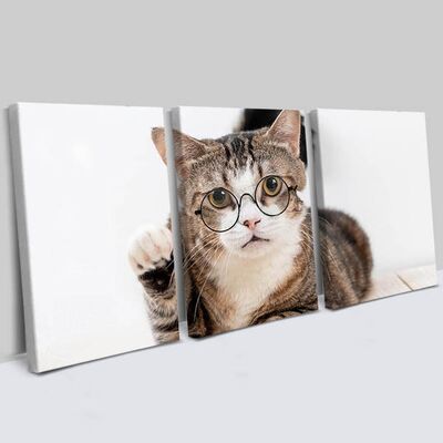 Gözlüklü Kedi 3 Parçalı Kanvas Tablo - 3