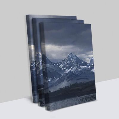 Himalaya 3 Parçalı Dekoratif Kanvas Tablo - 2