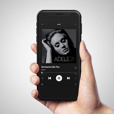 Kişiye Özel Spotify Ses İzi Kanvas Tablo - 3