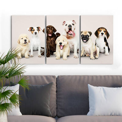 Sevimli Köpekler 3 Parça Kanvas Tablo - 1