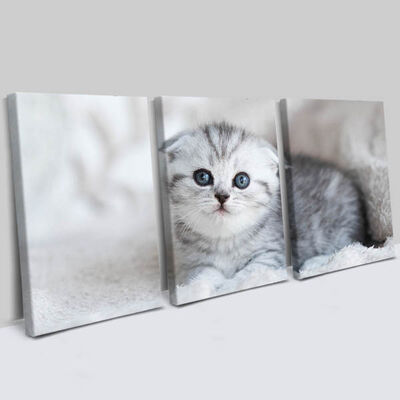 Yavru Kedi 3 Parçalı Kanvas Tablo - 2