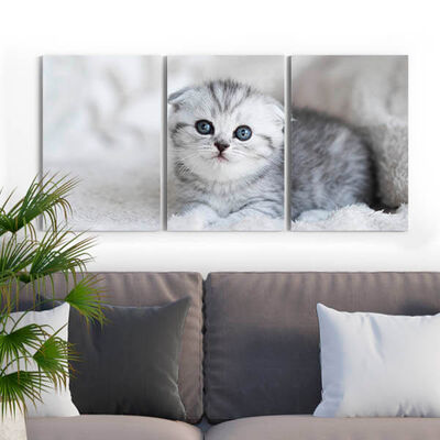 Yavru Kedi 3 Parçalı Kanvas Tablo - 3