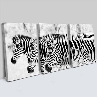 Zebra Tasarımlı 3 Parça Kanvas Tablo - 1